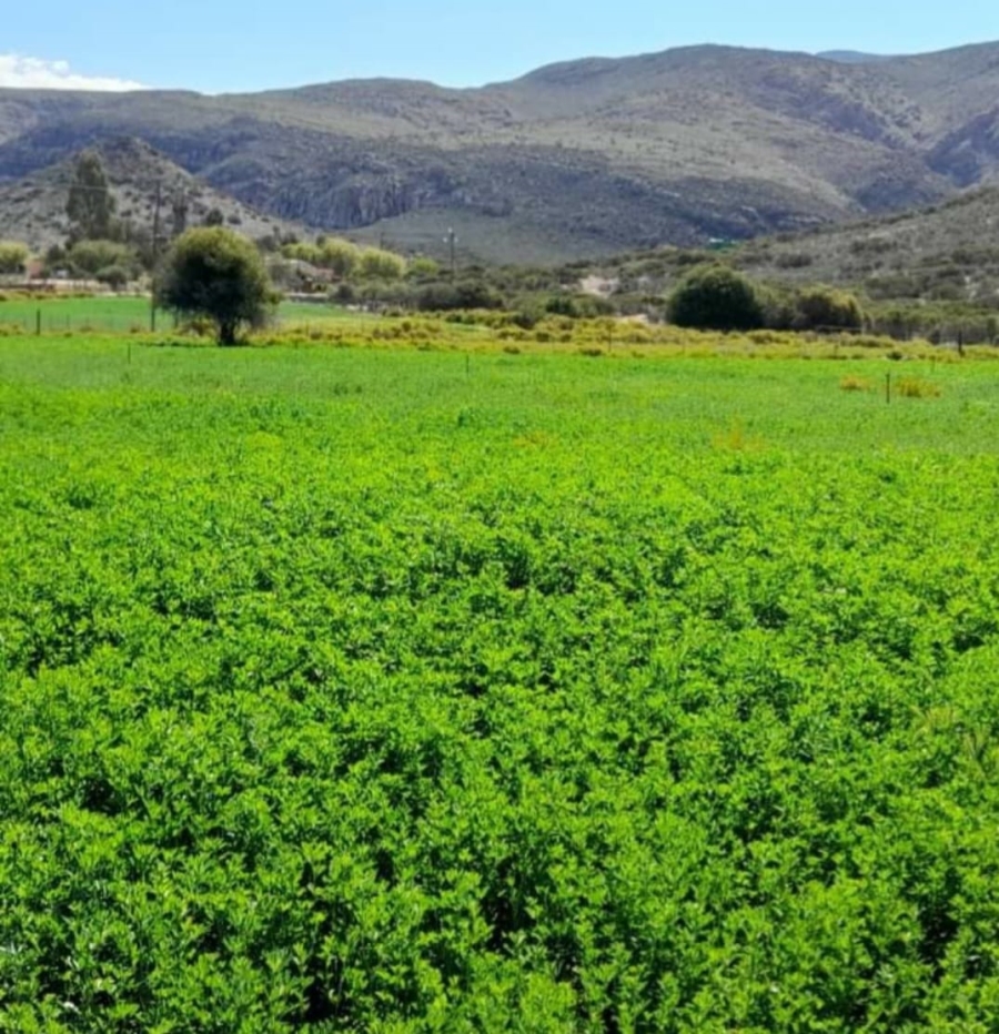 5 Bedroom Property for Sale in Ladismith Rural Western Cape